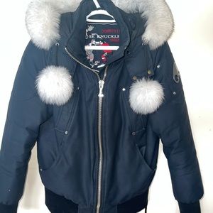 Moose knuckle winter coat - Navy Blue